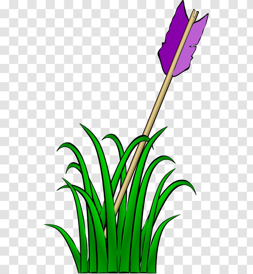 Clip Art - Flora - Cartoon Grass Transparent PNG