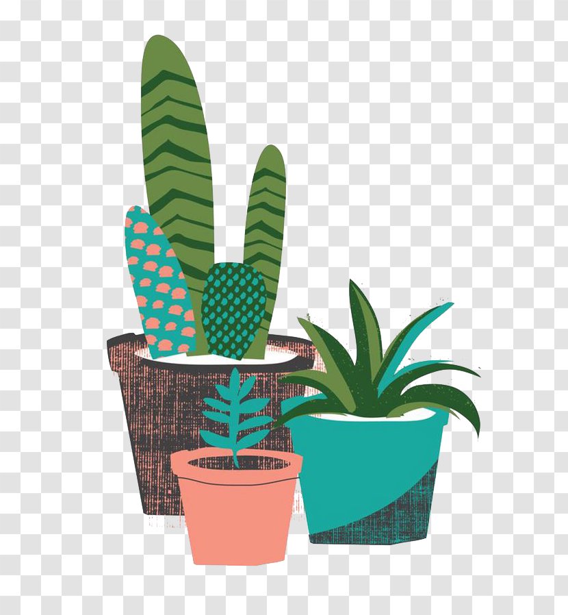 The Cactus Garden Cactaceae Succulent Plant Desert - Printing - Cartoon Transparent PNG