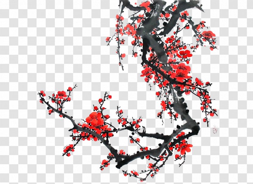 Plum Blossom Twig Ochna Integerrima - Flower Transparent PNG