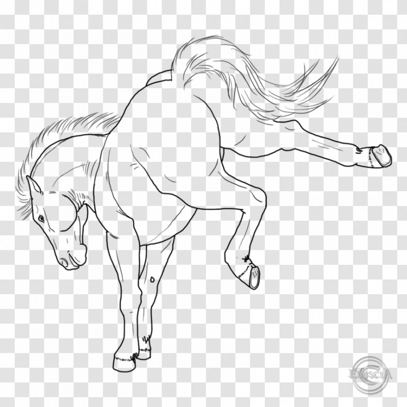 Arabian Horse Fjord Stallion Foal Mare - Pony - Artwork Transparent PNG