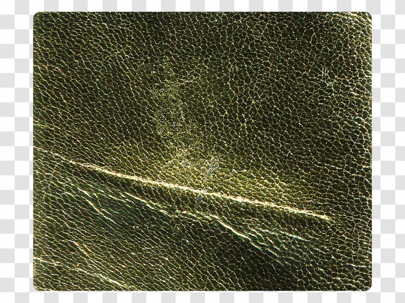Green Rectangle - Grass - Mesh Dots Transparent PNG