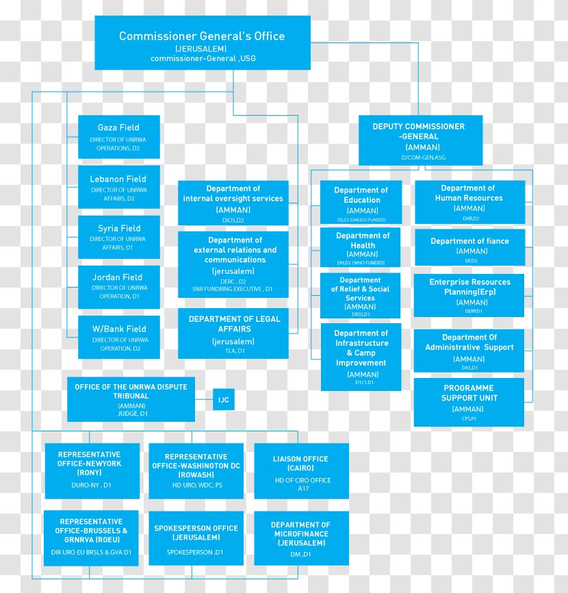 UNRWA Organizational Structure United Nations - Human Rights - Learning Transparent PNG