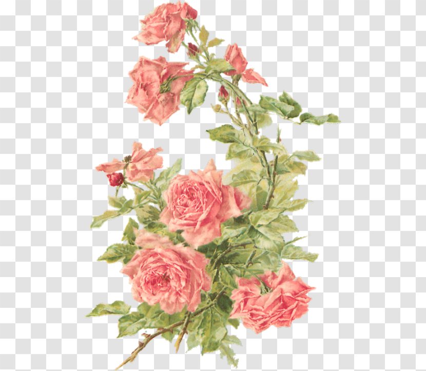 Floral Design Cut Flowers Rose Clip Art - Color - Flower Transparent PNG