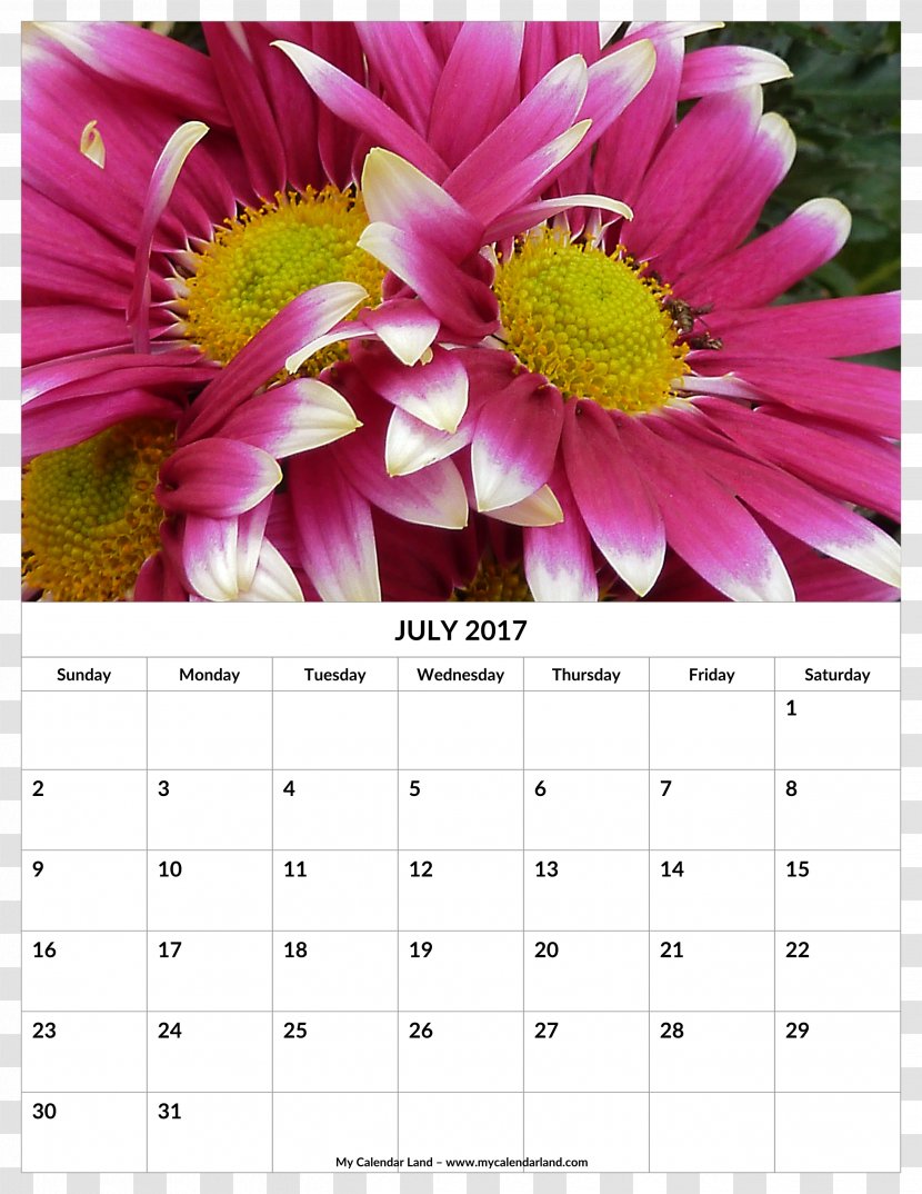Calendar 0 July Month - August Transparent PNG