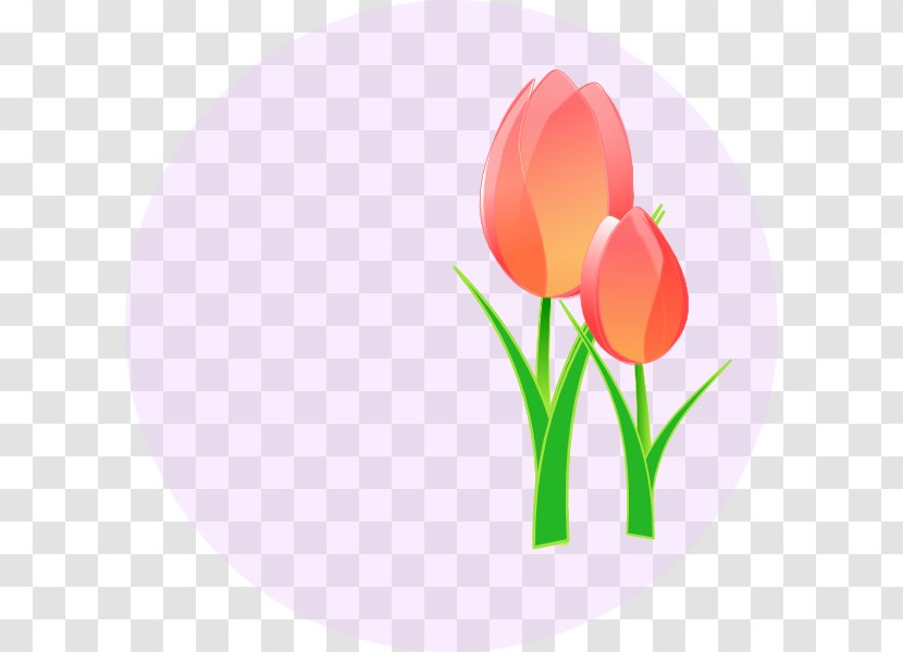 Tulip Flower Clip Art Transparent PNG