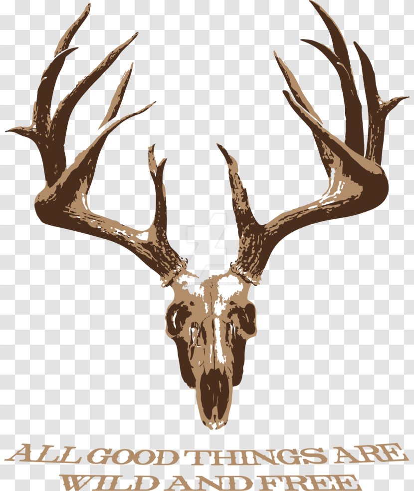 White-tailed Deer Elk Antler Skull Transparent PNG