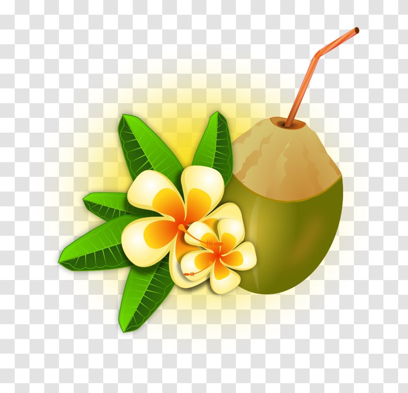 Pixf1a Colada Tropics Coconut Water Free Content Clip Art - Fruit - Cocktail Pictures Transparent PNG