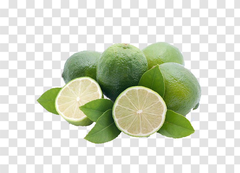 Meyer Lemon Mandarin Orange Fruit - Key Lime Transparent PNG