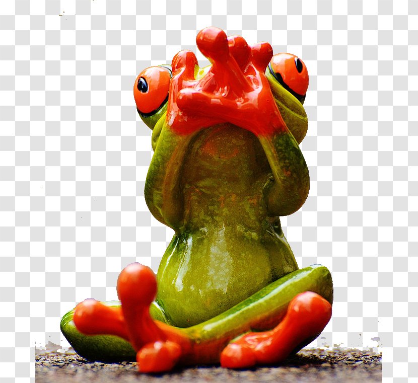 Frog Humour Download Photography - Stockxchng - Cute Funny Transparent PNG