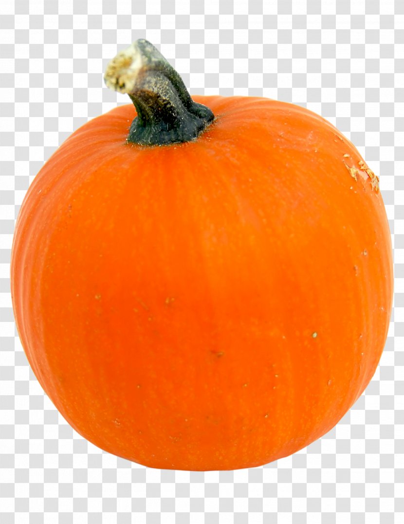 Pumpkin Calabaza Cucurbita Jack-o'-lantern Winter Squash - Orange - Sparrow Transparent PNG
