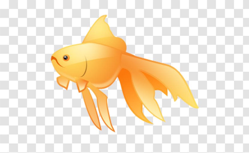Goldfish - Fin - Fried Fish Transparent PNG
