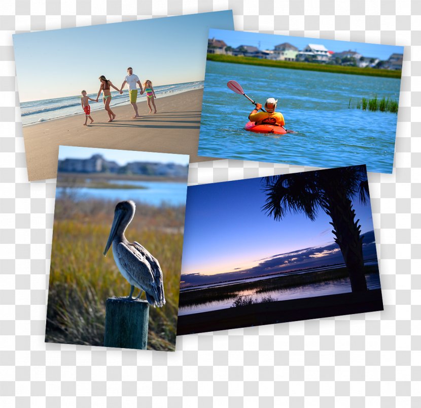 Photographic Paper Advertising Picture Frames Leisure - Collage - Vacation Transparent PNG