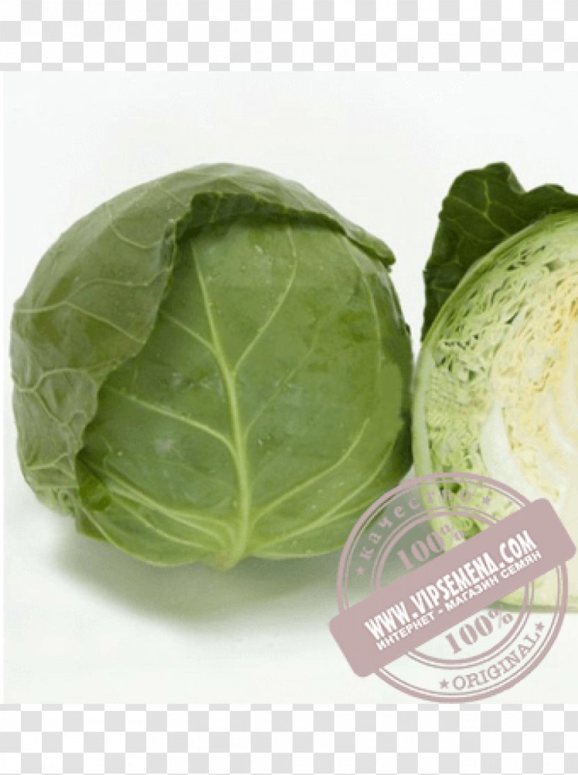 Napa Cabbage Seed Price Cultivar Transparent PNG