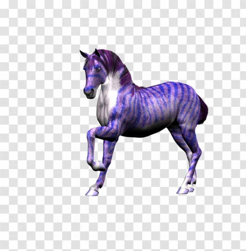Horse Colt Foal Mare - Tack - Fantasy Transparent PNG