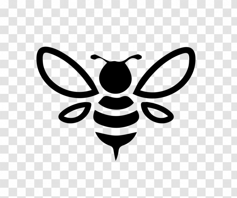 Bee Background - Symbol - Pollinator Transparent PNG