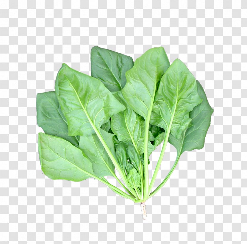 Spinach Leaf Vegetable Food - Spring Greens - Green Vegetables Transparent PNG