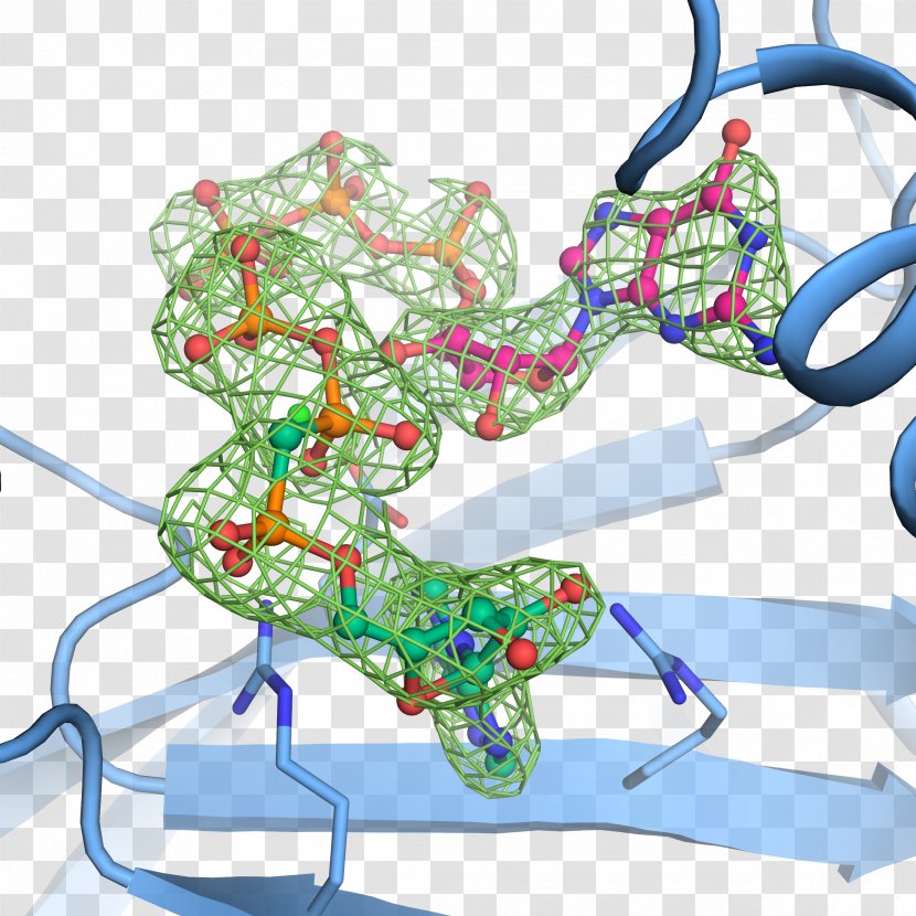 Molecular Biology Guanosine Pentaphosphate Structural Genetics - Research - Enzyme Transparent PNG