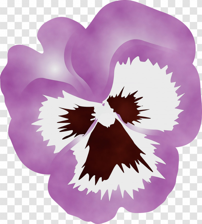 Violet Purple Flower Plant Petal Transparent PNG