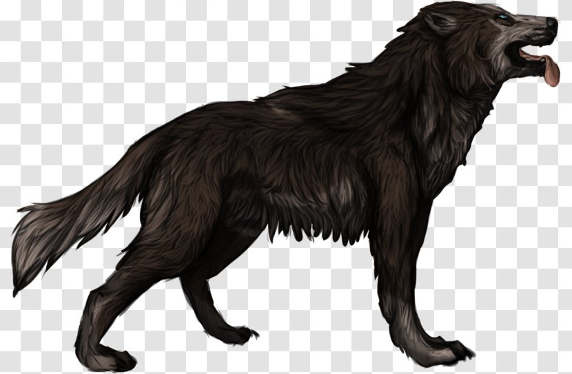Dog Breed Fur Wildlife - Carnivoran Transparent PNG