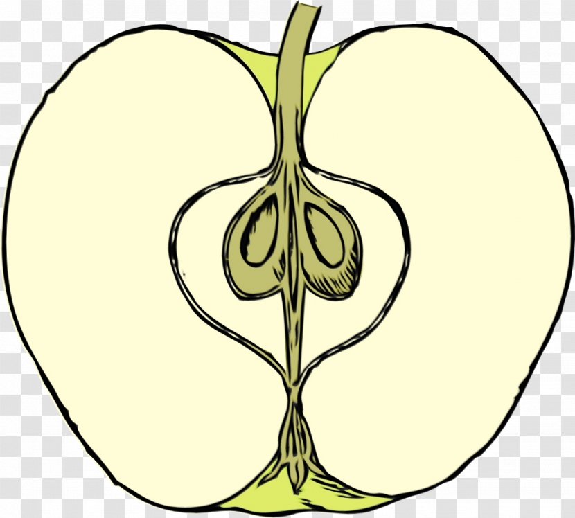 Leaf Plant Tree Pear Line - Symmetry Fruit Transparent PNG