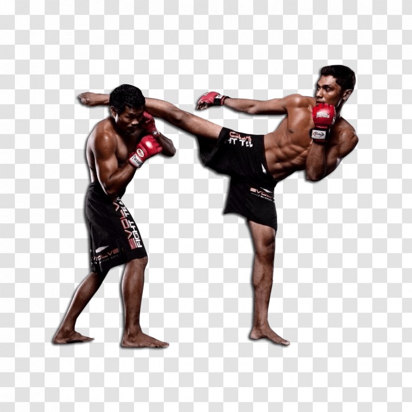 Mixed Martial Arts Combat Sport Pradal Serey Strike Sanshou - Kick - Artist Transparent PNG