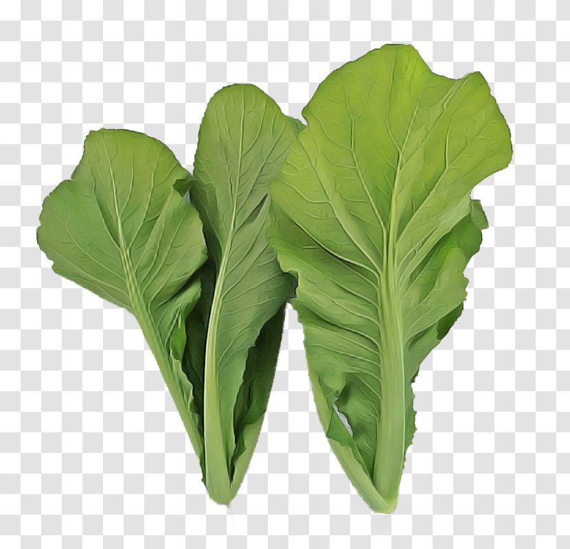 Leaf Flower Plant Vegetable - Arugula Food Transparent PNG