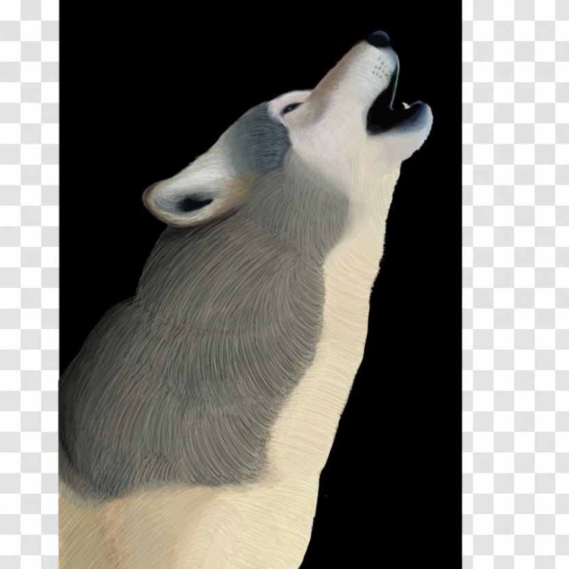 Beak Fauna Snout Neck Fur - GREY Wolf Transparent PNG