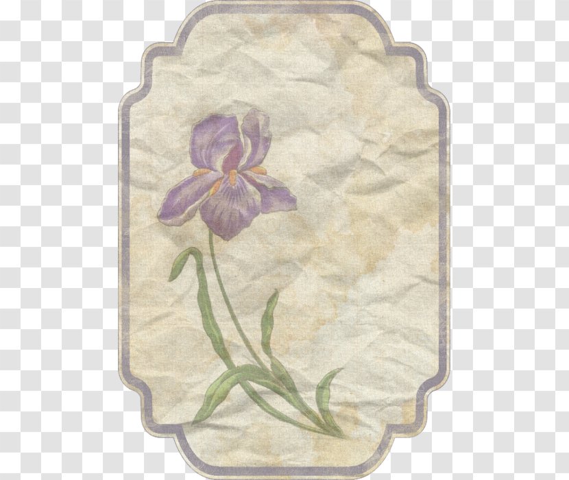 Label Paper Scrapbooking Sticker Handicraft - Photography - Decoupage Vintage Transparent PNG