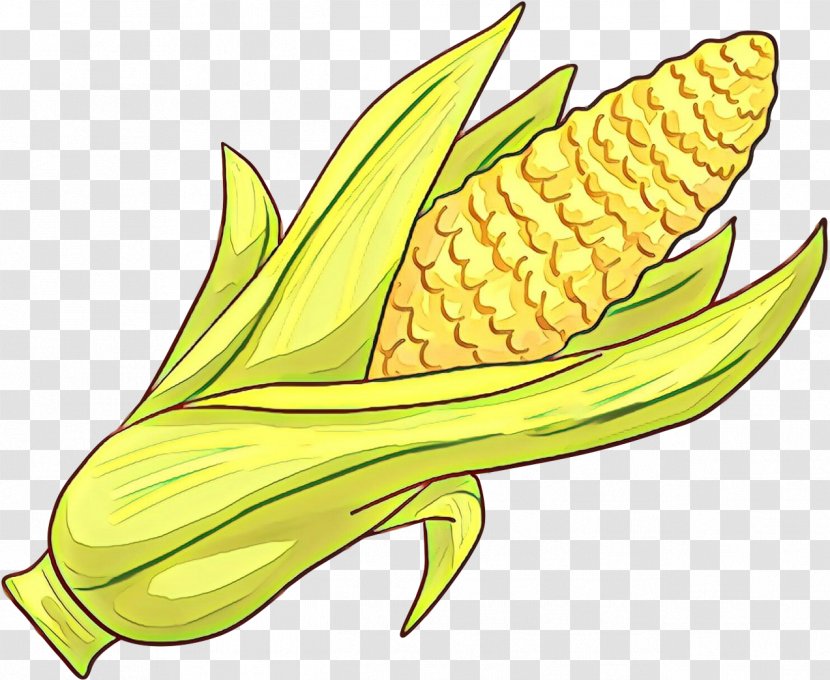 Corn On The Cob Plant Leaf Clip Art - Vegetarian Food - Anthurium Transparent PNG
