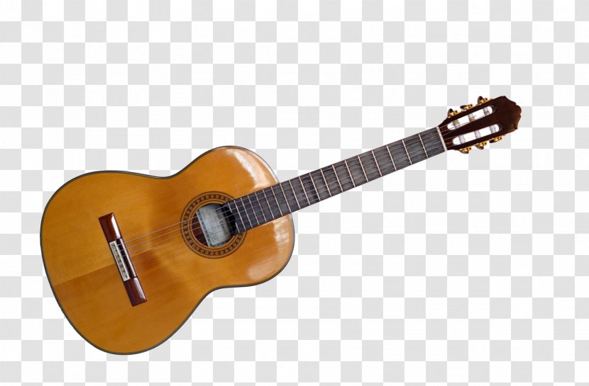 Steel-string Acoustic Guitar Musical Instruments Classical Tanglewood Guitars - Heart - Video Transparent PNG