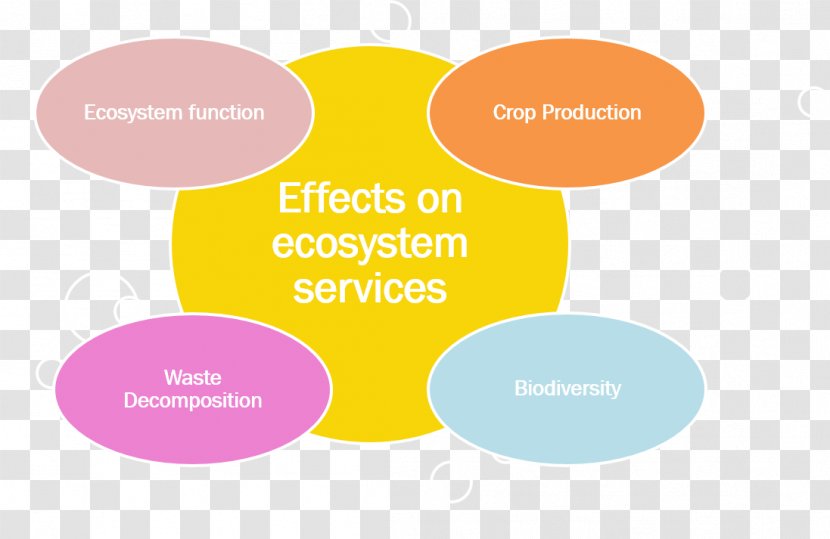 Ecotoxicology Ecosystem Services Ecology - Environmental Chemistry - Sun Exposure Transparent PNG