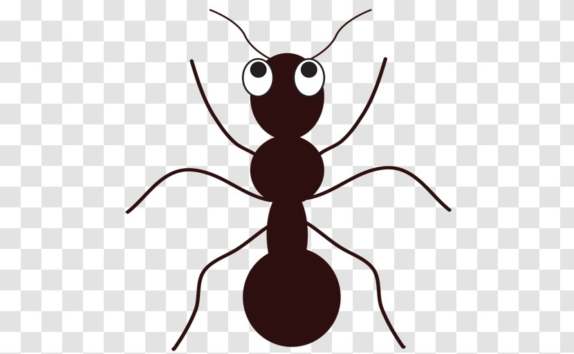 Ant Download Clip Art - Black Garden - Pollinator Transparent PNG