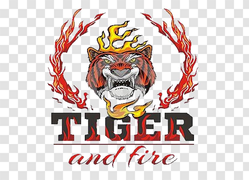 Tiger Fire Flame Drawing - Fierce Transparent PNG