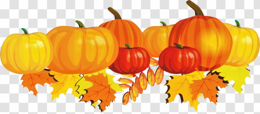 Jack-o'-lantern Gourd Winter Squash Pumpkin Calabaza - Superfood - Nightshade Family Transparent PNG