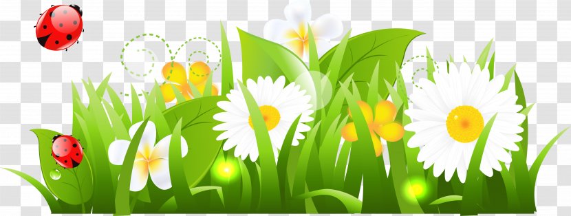 Stock Photography Clip Art - Grass - Spring Flower Whirlwind Transparent PNG