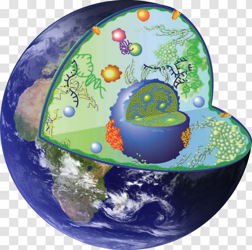Spherical Earth Planet Figure Of The Tamindir - Organism Transparent PNG