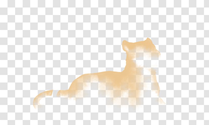 Whiskers Cat Dog Snout Desktop Wallpaper - Like Mammal Transparent PNG