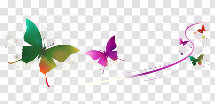Euclidean Vector - Magenta - Colorful Butterfly Transparent PNG