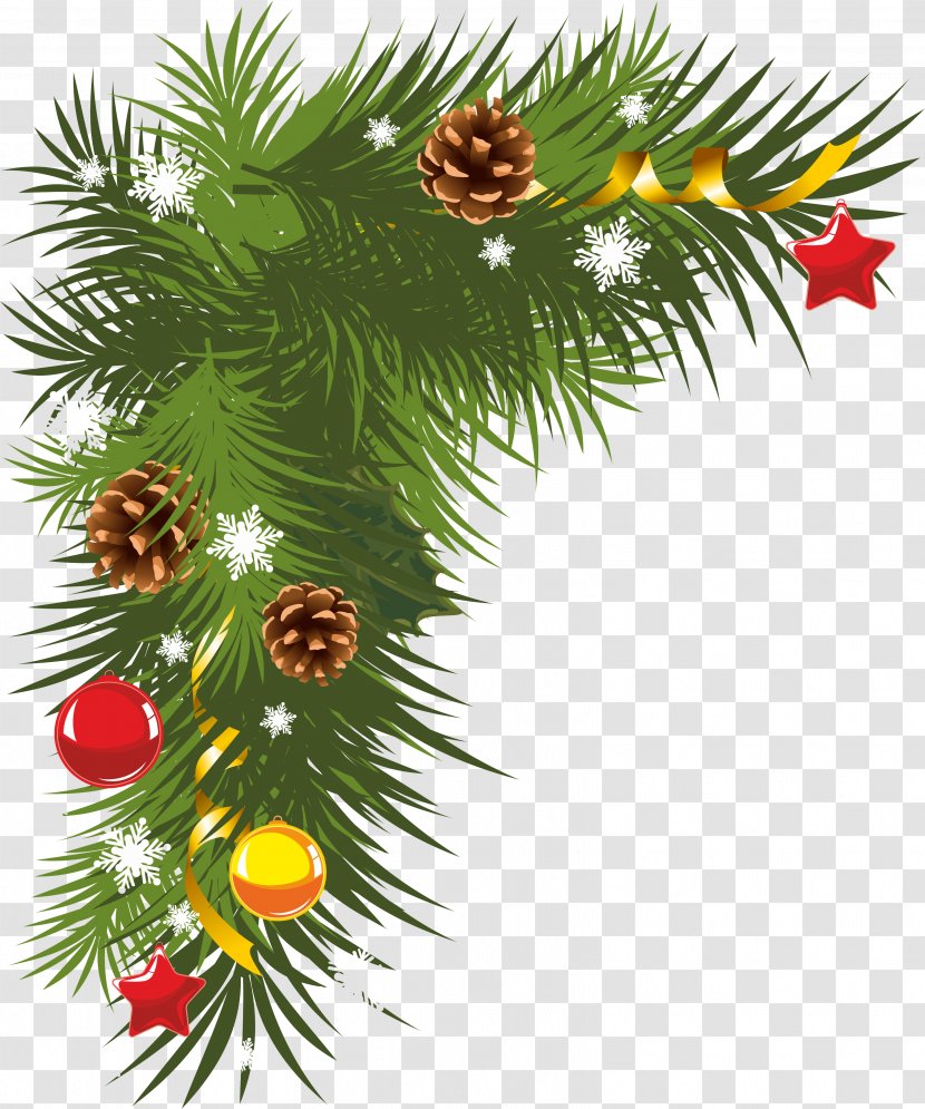 Christmas Pine Branch Clip Art - Conifer - Fir-tree Transparent PNG
