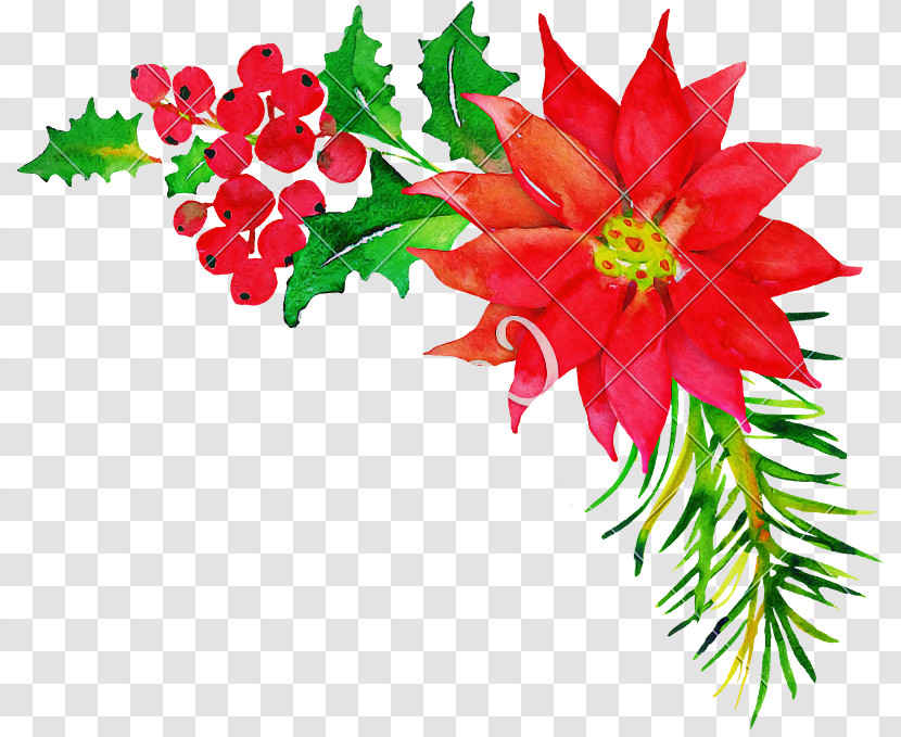 Floral Design Transparent PNG