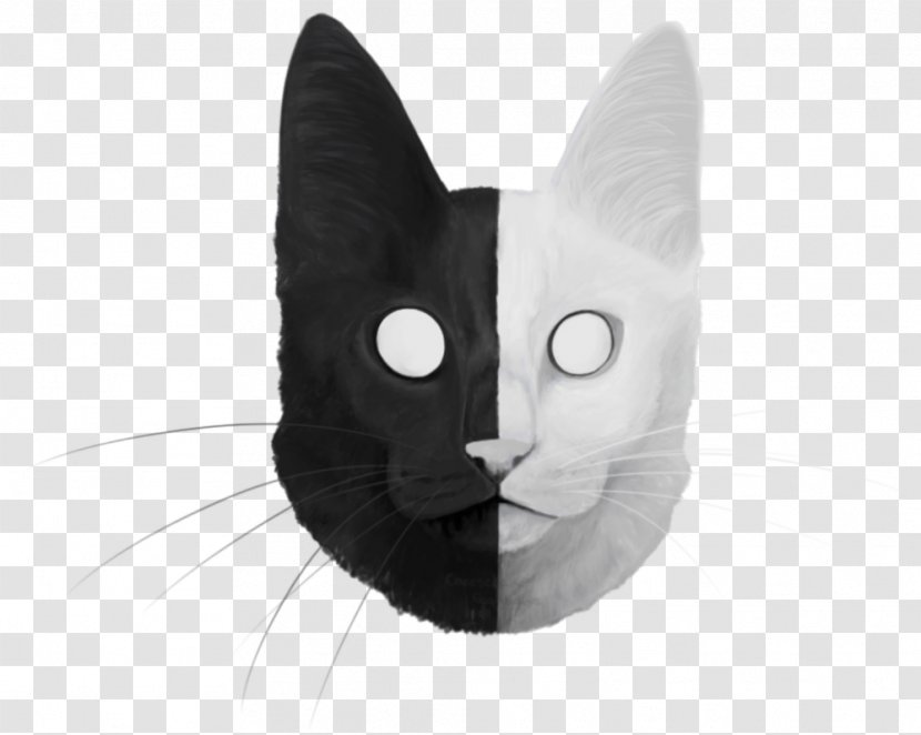 Whiskers Cat Black White Snout - Cheesecake Art Transparent PNG
