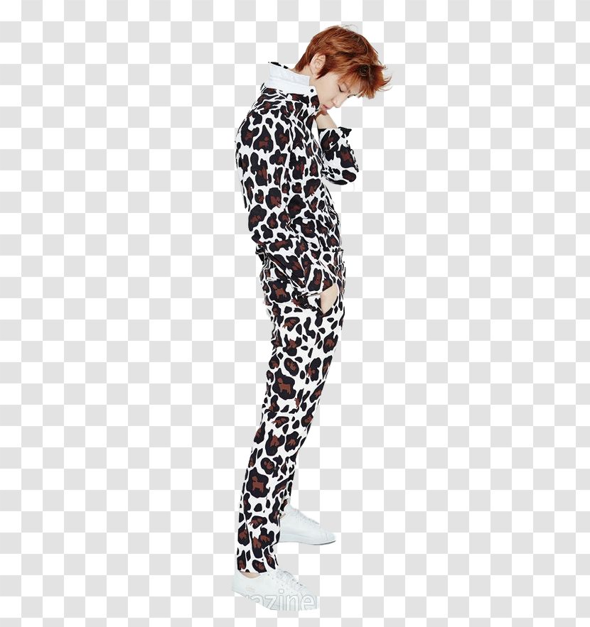 VIXX Beautiful Liar Model K-pop - Leggings - Leo Transparent PNG