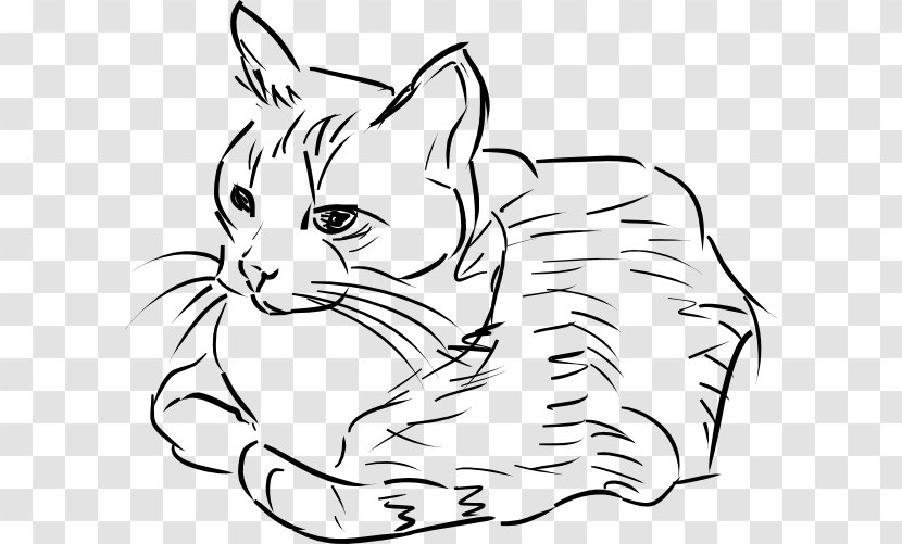 Cat Drawing Line Art Clip - Face Transparent PNG