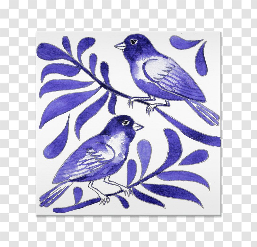 Fauna Feather Rectangle Flowering Plant Beak - Azulejo Portugues Transparent PNG