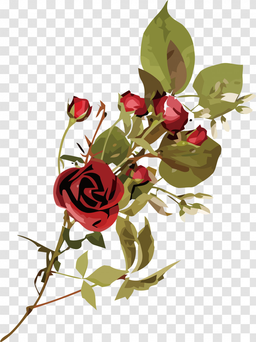 Floral Design Transparent PNG