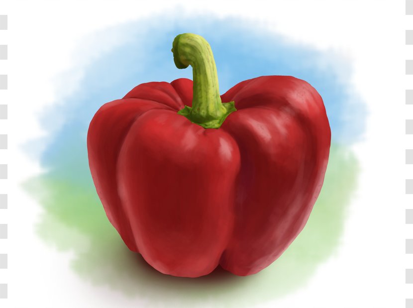 Tabasco Pepper Painting Digital Art Clip - Vegetable - Graphics Transparent PNG