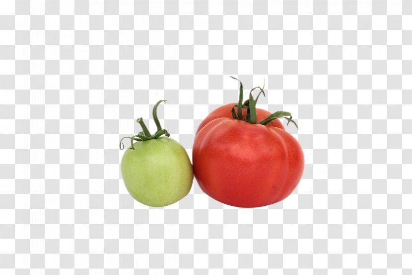 Tomato Vegetarian Cuisine Food Red - Vegetable - Tomatoes Transparent PNG