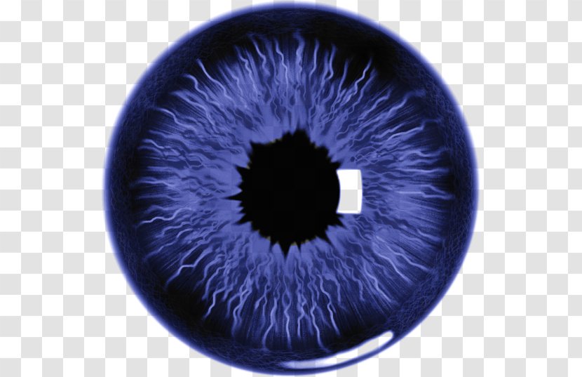 Eye Lens Iris - Watercolor - J Transparent PNG