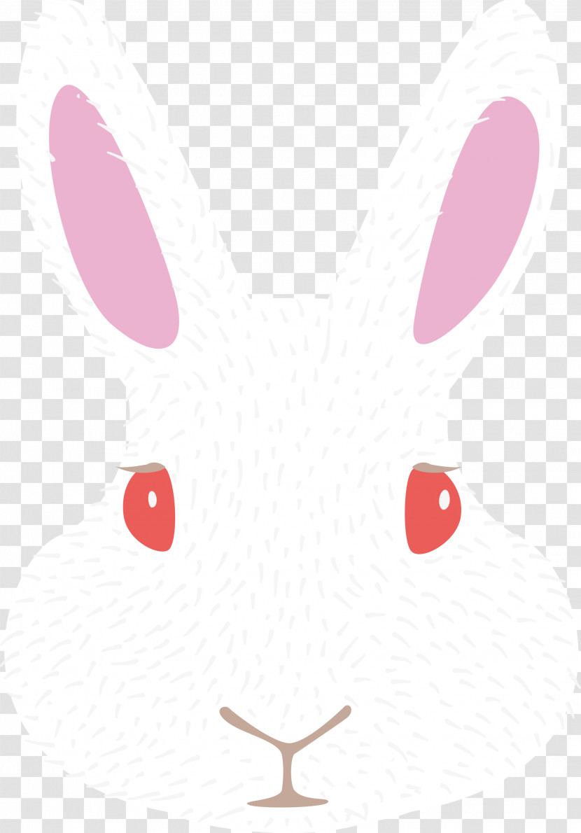 Hares Rabbit Cartoon Line Science Transparent PNG