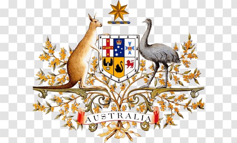 Coat Of Arms Australia Government Geography - Fauna - Facebook Sued Over Like Button Transparent PNG